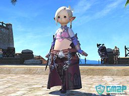 ff14 mog station cant use different card